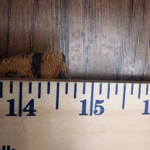 Women’s
Leather animal print skirt. Size M. - Picture 10 of 11